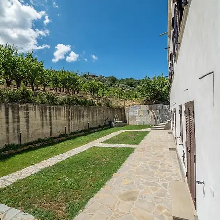 Il Vigneto - Lo Stile Classico * Castellabate