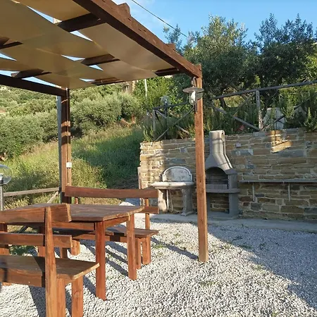 Il Vigneto - Lo Stile Classico